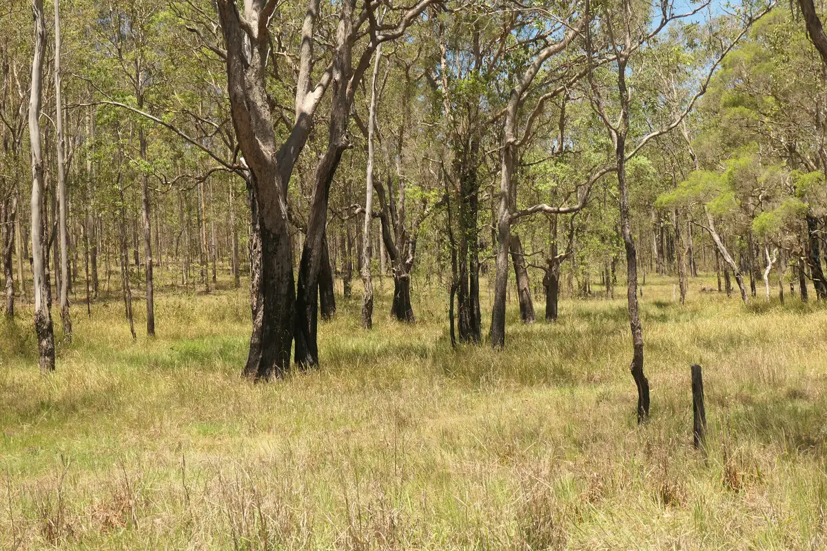 Main view of Homely rural property listing, 4 Kimbin Pikapene Road, Tabulam NSW 2469