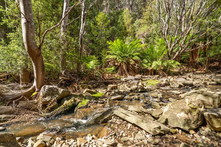 Fifth view of Homely land listing, 290 Kaoota Road, Kaoota TAS 7150