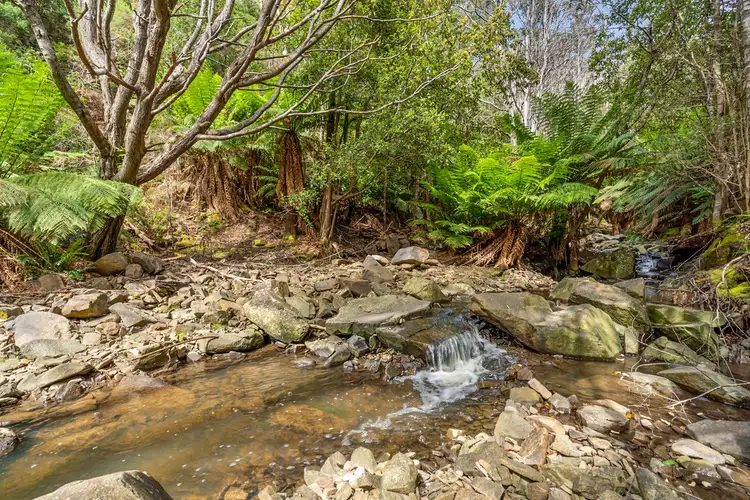 Sixth view of Homely land listing, 290 Kaoota Road, Kaoota TAS 7150