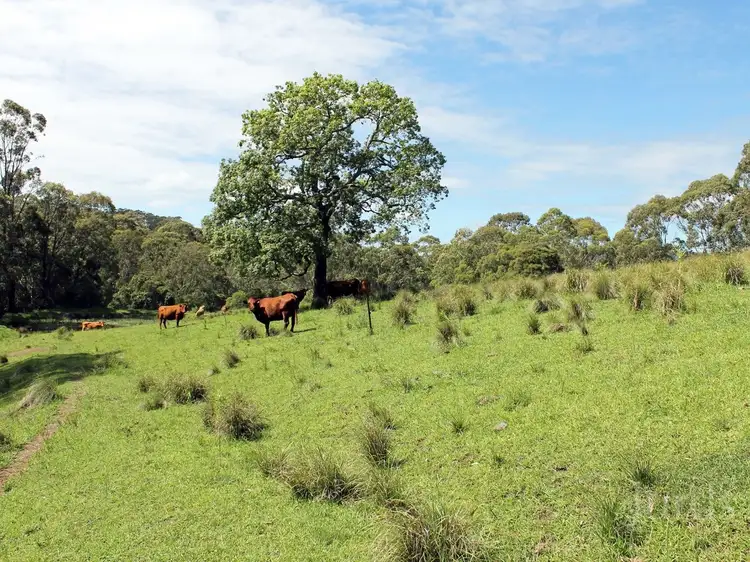 Sixth view of Homely rural property listing, Address available on request