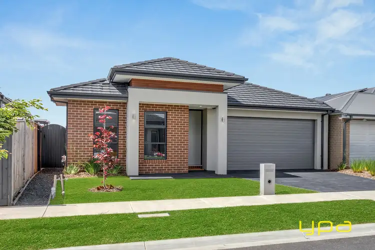 Second view of Homely house listing, 24 Ixia Street,, Officer VIC 3809