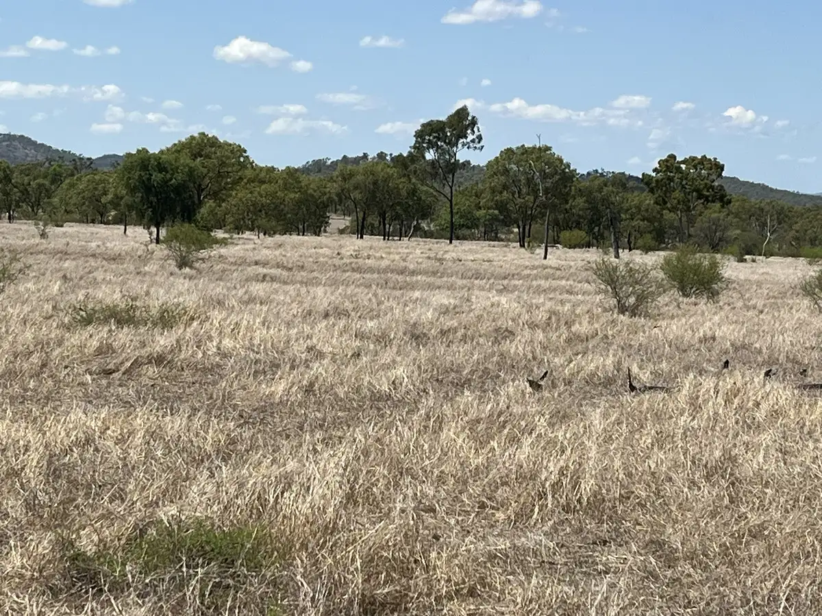 Main view of Homely rural property listing, "Carbethon" Lot 3 Turrawulla Road, Turrawulla QLD 4742