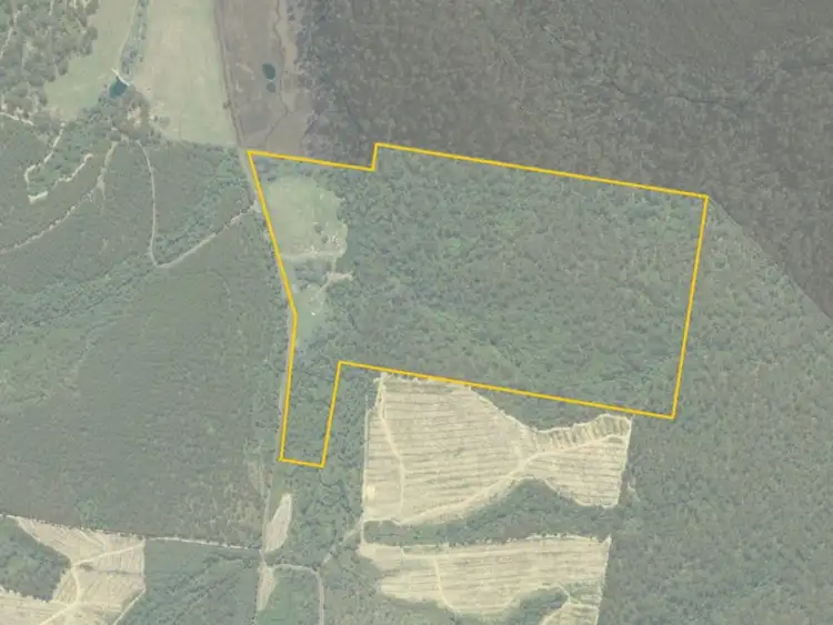 Third view of Homely rural property listing, 273 Burns Road, Wyena TAS 7254