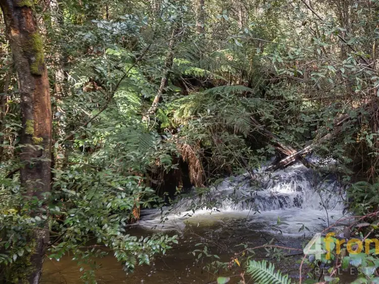 Fourth view of Homely rural property listing, 273 Burns Road, Wyena TAS 7254