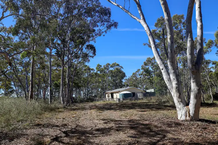 Third view of Homely rural property listing, 671 Sandy Point Road, Lower Boro NSW 2580