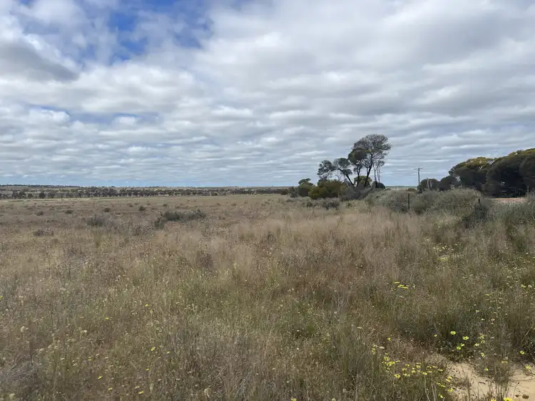 Sixth view of Homely land listing, LOT 562 Koorda Wongan Hills Road, Badgerin Rock WA 6475