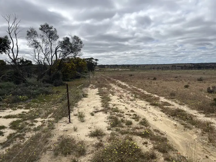 Seventh view of Homely land listing, LOT 562 Koorda Wongan Hills Road, Badgerin Rock WA 6475