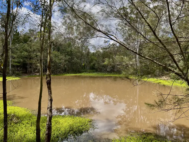 Third view of Homely rural property listing, 1594 Beaudesert - Beenleigh Road, Tamborine QLD 4270