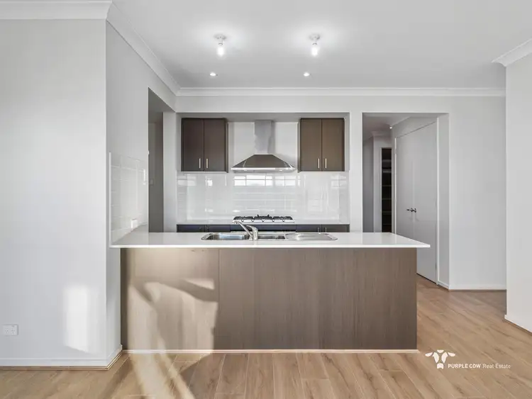 Third view of Homely house listing, 38 Carbeen Circuit, Springfield QLD 4300