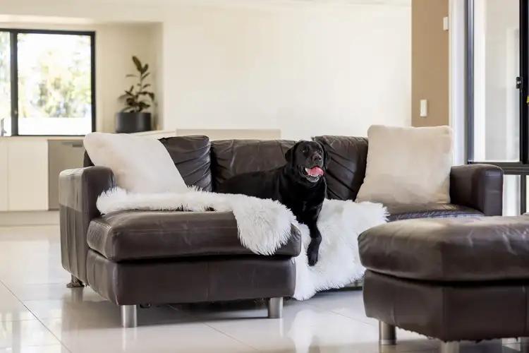 Sixth view of Homely house listing, 5 Venetian Court, Griffin QLD 4503