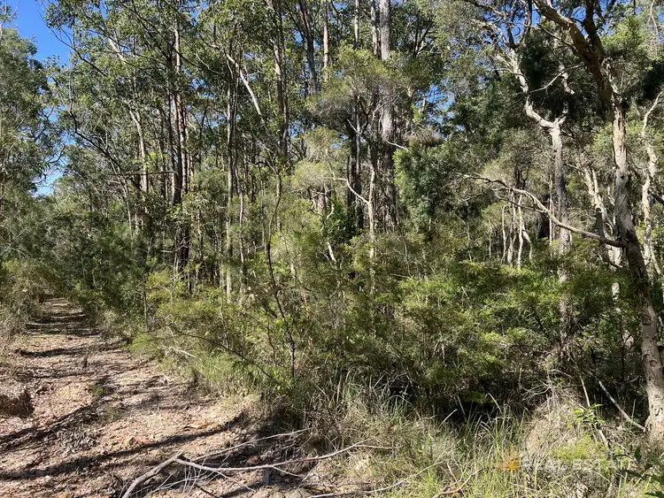 Fourth view of Homely land listing, LOT 2135 Manilla Crescent, North Arm Cove NSW 2324