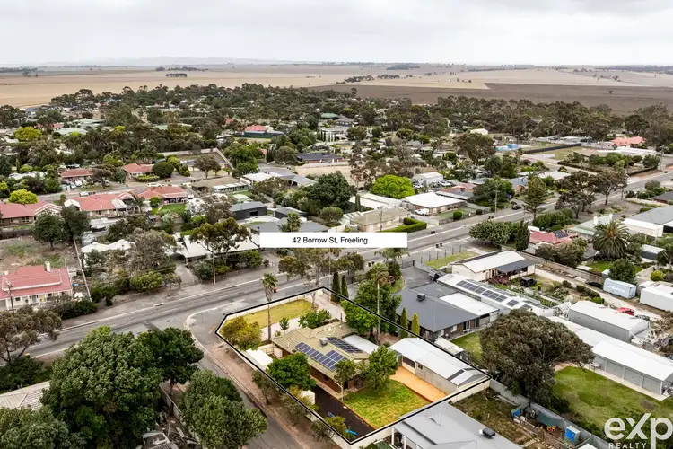 42 Borrow Street, Freeling SA 5372