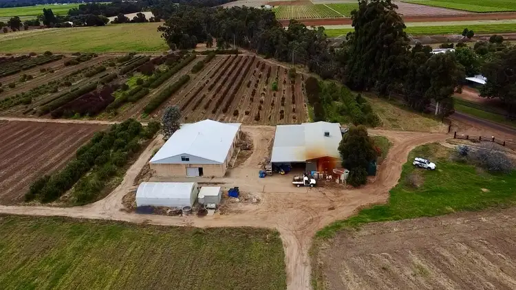 Fifth view of Homely rural property listing, 915 Kaloorup Road, Kaloorup WA 6280