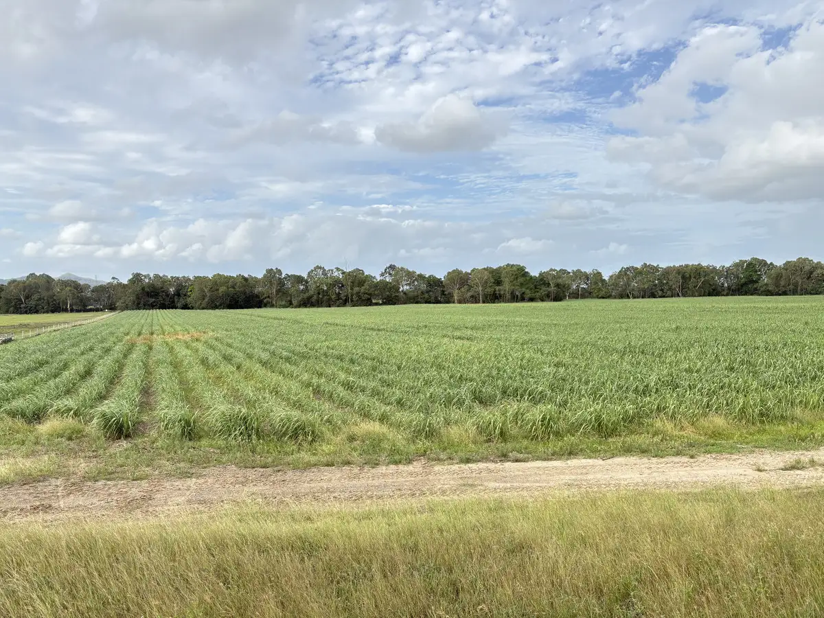 Main view of Homely rural property listing, LOT 2 Oakenden Sarina Road, Oakenden QLD 4741