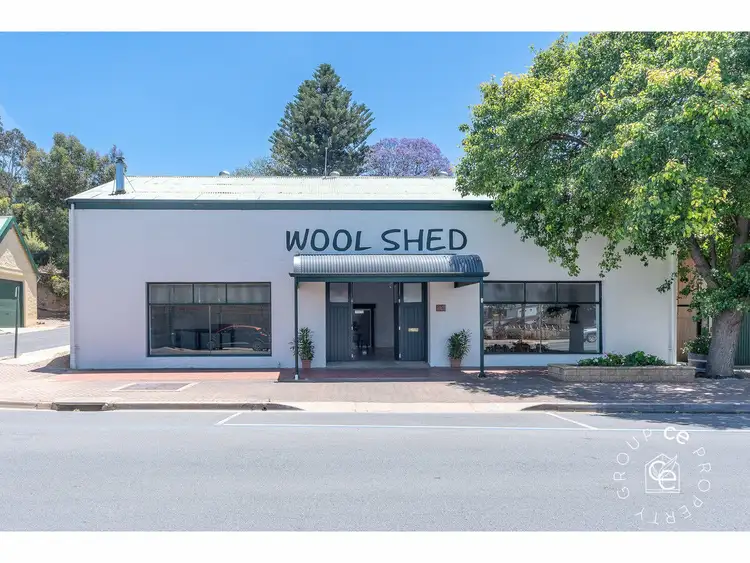 Second view of Homely other listing, 3 Randell Street, Mannum SA 5238