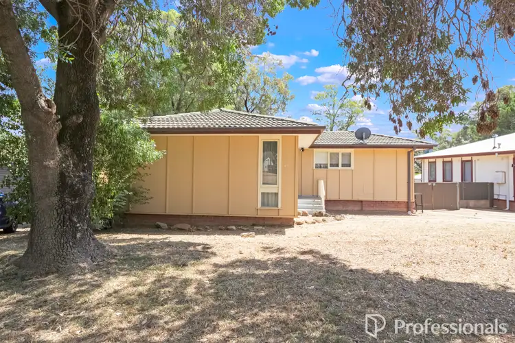 41 Mumford Street, Ashmont NSW 2650