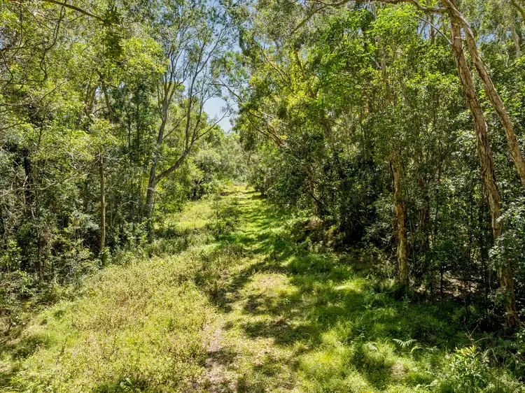 Seventh view of Homely house listing, 157 Maximillian Road, Noosa North Shore QLD 4565