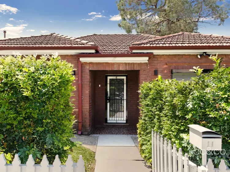 11 Gipps Street, Concord NSW 2137