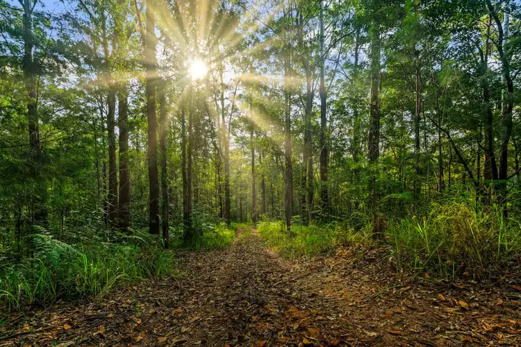 Fourth view of Homely land listing, 271 Ilkley Road, Ilkley QLD 4554