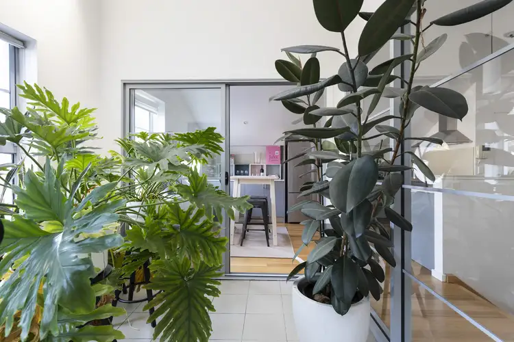 Fourth view of Homely apartment listing, 5/68-70 White Street, Lilyfield NSW 2040