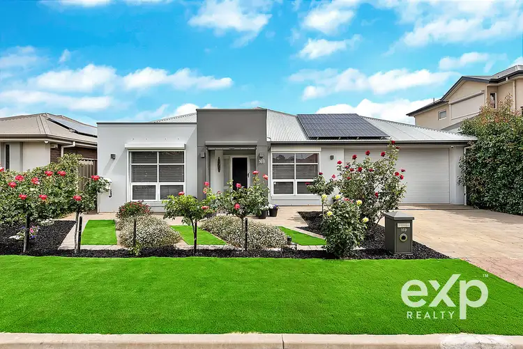 169 Folland Avenue, Lightsview SA 5085