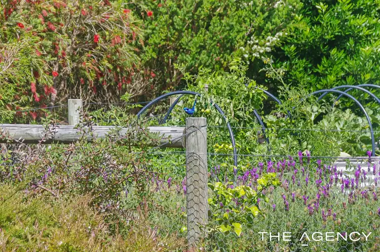 Fifth view of Homely house listing, 16 Chiltern Road, Ocean Beach WA 6333