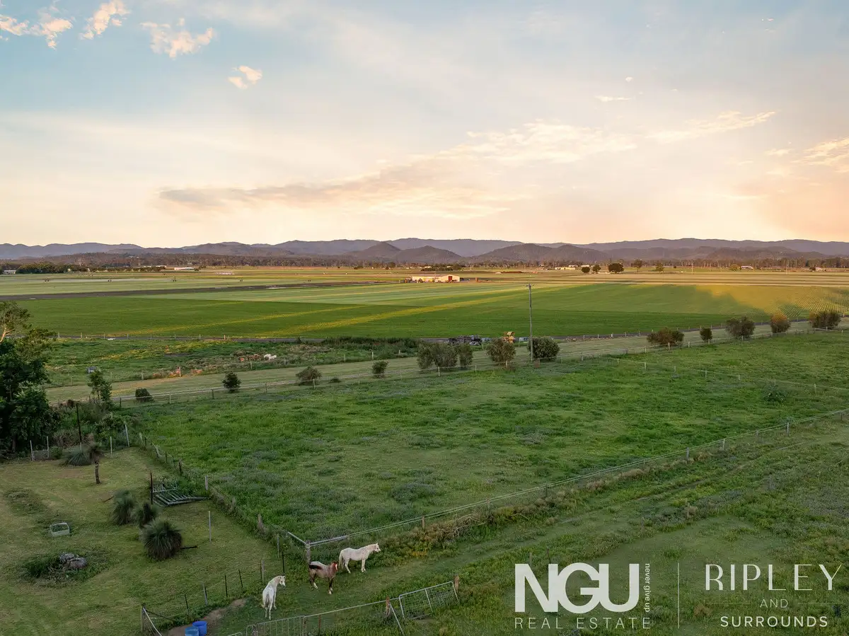 Main view of Homely house listing, 81 Linum Road, Wivenhoe Pocket QLD 4306