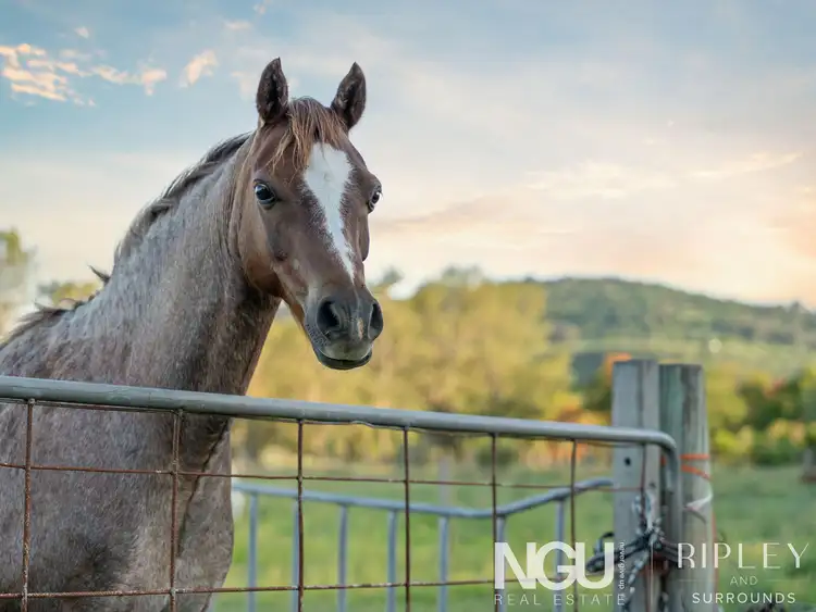 Second view of Homely house listing, 81 Linum Road, Wivenhoe Pocket QLD 4306
