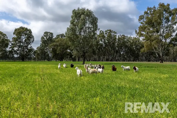 Fourth view of Homely land listing, 192 Roach Road, Moorong NSW 2650