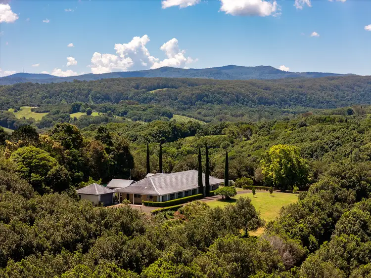 Second view of Homely house listing, 43 Lychee Drive, Rosebank NSW 2480