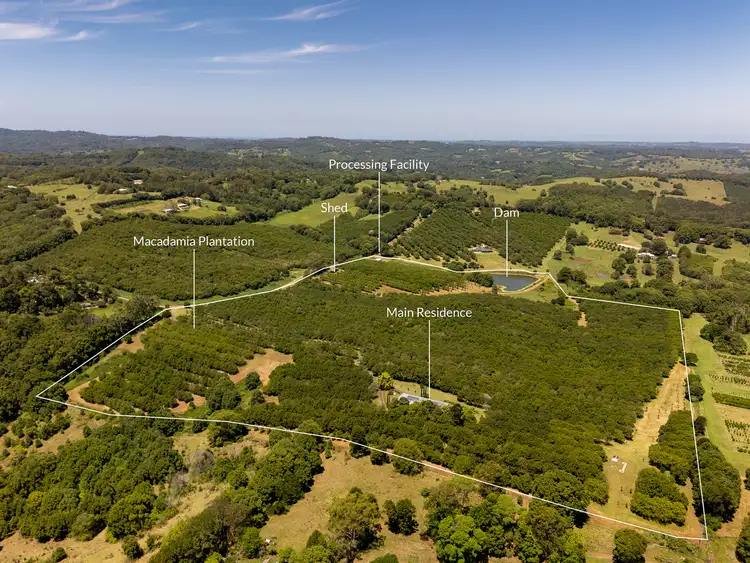 Third view of Homely house listing, 43 Lychee Drive, Rosebank NSW 2480