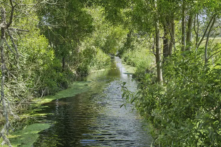 Second view of Homely rural property listing, 2520 Carlisle Road, Carlisle River VIC 3239