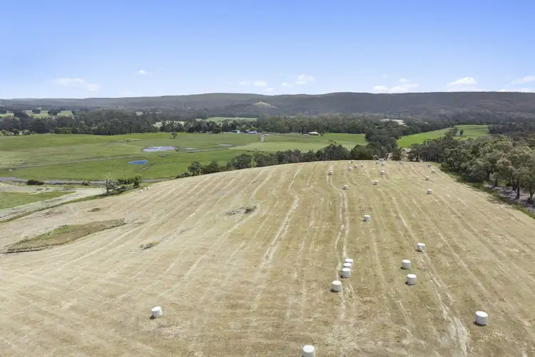 Fourth view of Homely rural property listing, 2520 Carlisle Road, Carlisle River VIC 3239