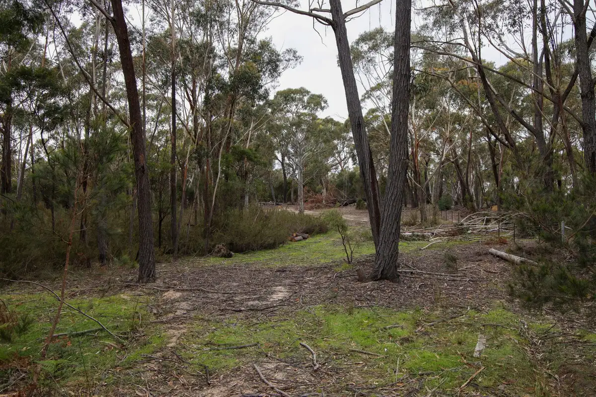 Main view of Homely rural property listing, 1887 Oallen Ford Road, Oallen NSW 2622