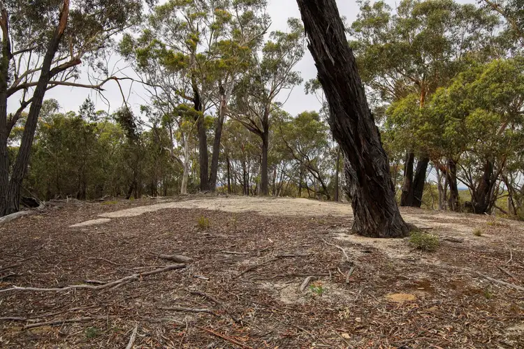 Third view of Homely rural property listing, 1887 Oallen Ford Road, Oallen NSW 2622