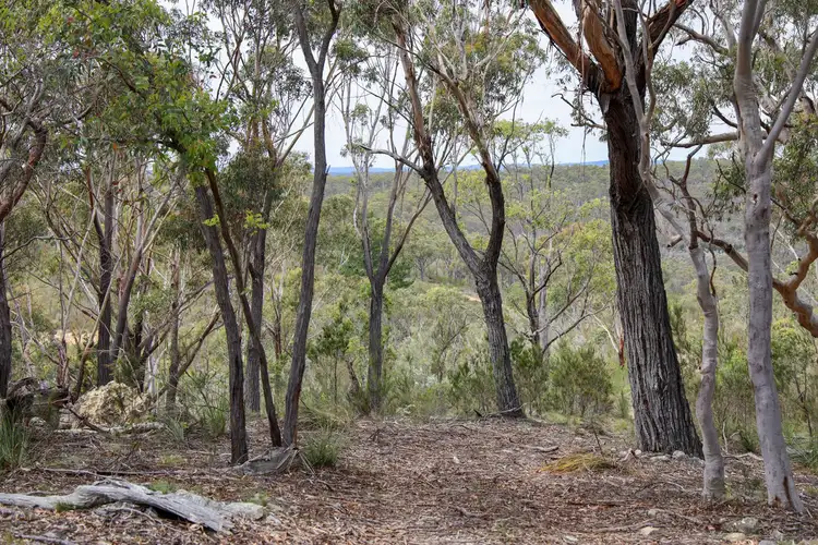 Fourth view of Homely rural property listing, 1887 Oallen Ford Road, Oallen NSW 2622