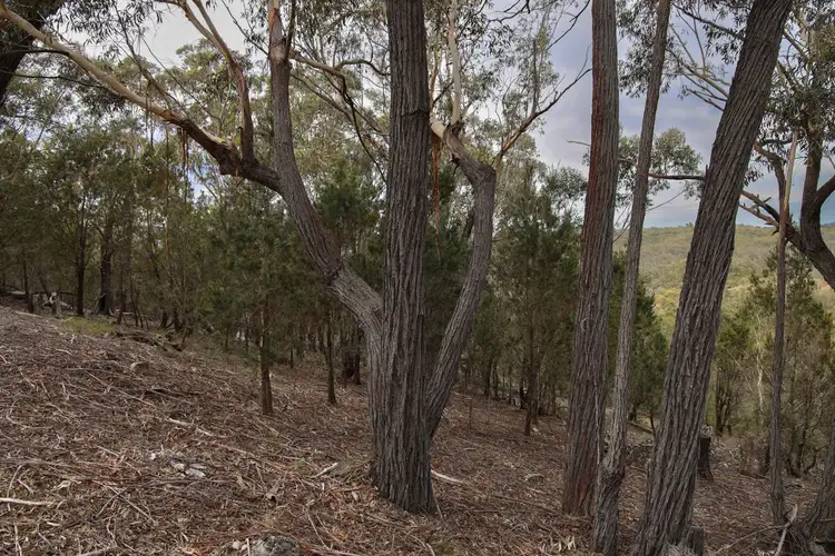 Sixth view of Homely rural property listing, 1887 Oallen Ford Road, Oallen NSW 2622