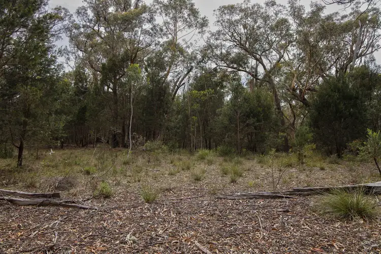 Seventh view of Homely rural property listing, 1887 Oallen Ford Road, Oallen NSW 2622