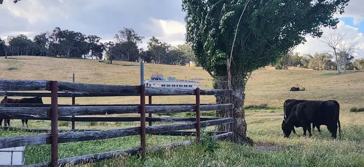 Fifth view of Homely rural property listing, 3641 Frogmore Road, Hovells Creek NSW 2794