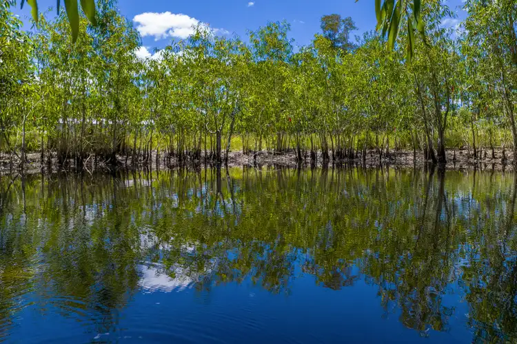 Fifth view of Homely land listing, 35 Osborne Court, Wallu QLD 4570
