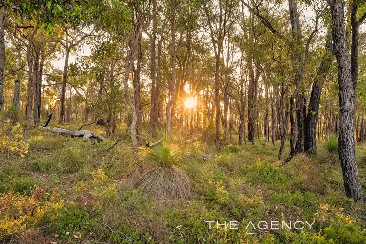 Third view of Homely house listing, 1645 Wedgetail Circle, Parkerville WA 6081