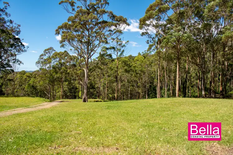 Fifth view of Homely rural property listing, Lot 1 Monkey Mountain Road, Termeil NSW 2539