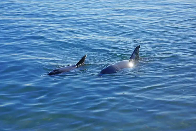 Second view of Homely land listing, LOT 1320, TBC Bolwarra Way, Dundowran Beach QLD 4655