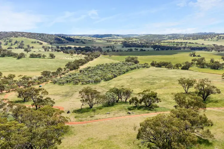 Fourth view of Homely house listing, 211 Picnic Hill Road, Coondle WA 6566