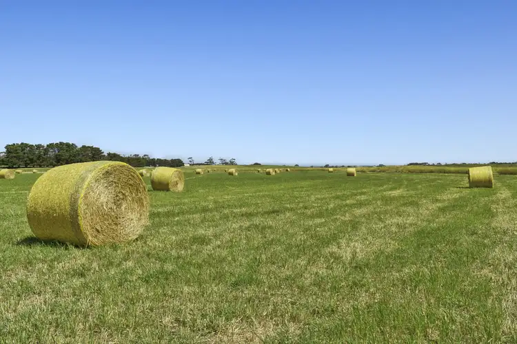 Sixth view of Homely rural property listing, 975 Warrowie Road, Irrewarra VIC 3249