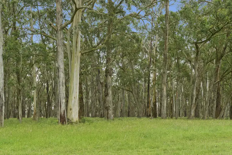 Sixth view of Homely rural property listing, 190 Blacks Road, Irrewillipe VIC 3249