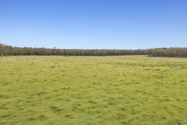 Seventh view of Homely rural property listing, 190 Blacks Road, Irrewillipe VIC 3249