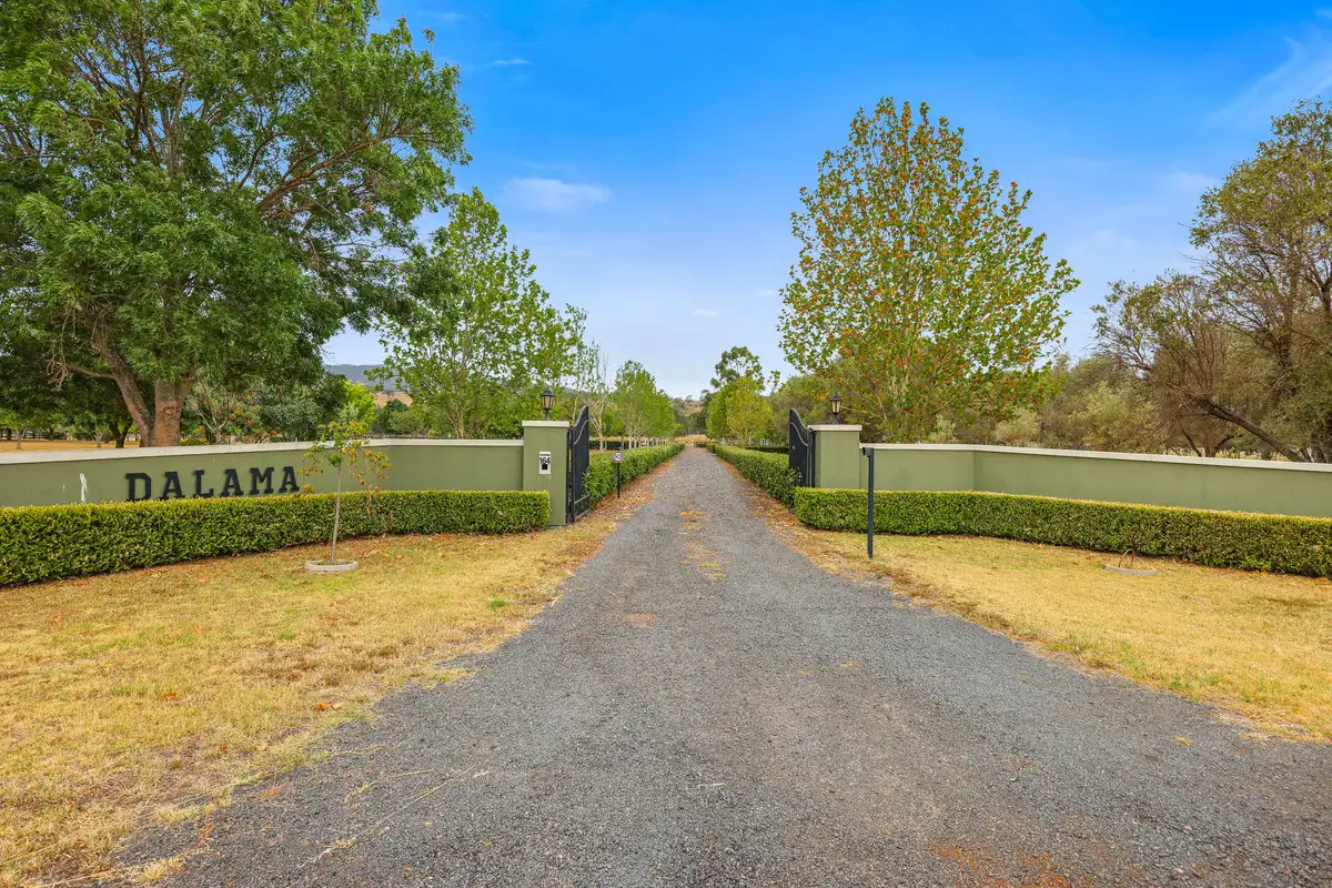 Main view of Homely rural property listing, 164 Upper Dartbrook Road, Scone NSW 2337