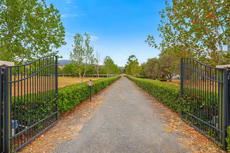 Third view of Homely rural property listing, 164 Upper Dartbrook Road, Scone NSW 2337