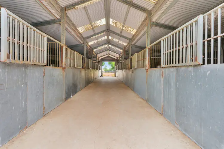 Fifth view of Homely rural property listing, 164 Upper Dartbrook Road, Scone NSW 2337